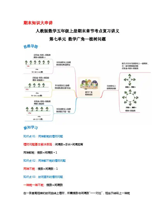 人教版五年级数学上册精讲精练期末复习 第七单元《数学广角—植树问题》(原卷+解析)