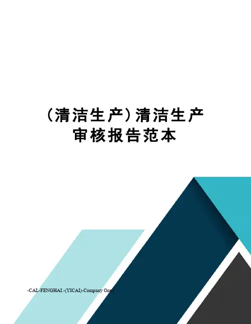 (清洁生产)清洁生产审核报告范本