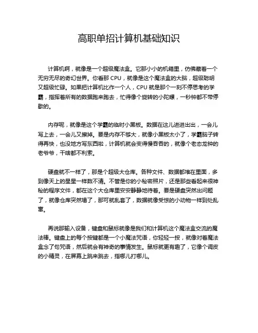 高职单招计算机基础知识
