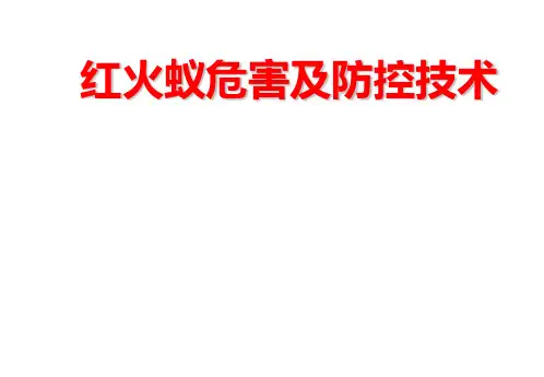 红火蚁危害及防控技术