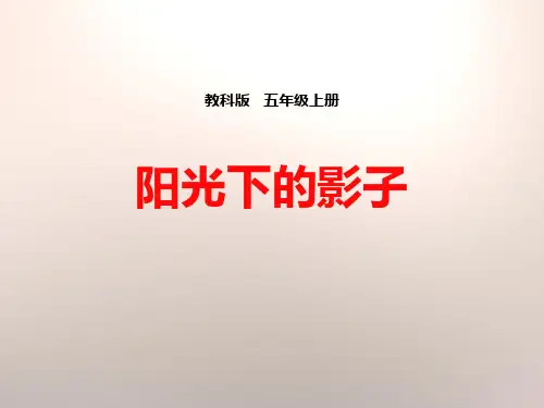 《阳光下的影子》光课件PPT