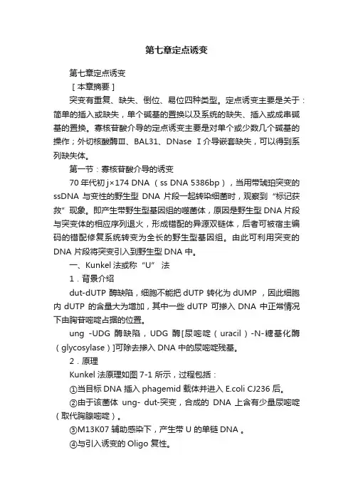第七章定点诱变