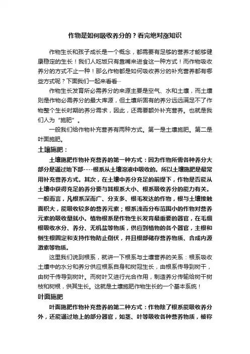 作物是如何吸收养分的？看完绝对涨知识