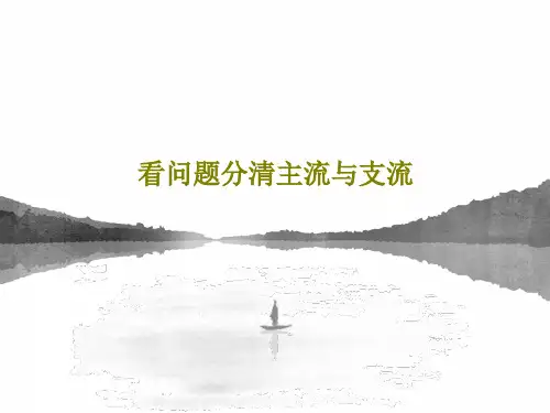 看问题分清主流与支流32页PPT