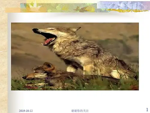 《东郭先生和狼》课件.ppt