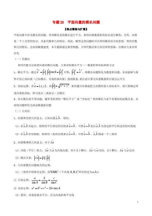 备战2020年高考数学大一轮复习 热点聚焦与扩展 专题25 平面向量的模长问题