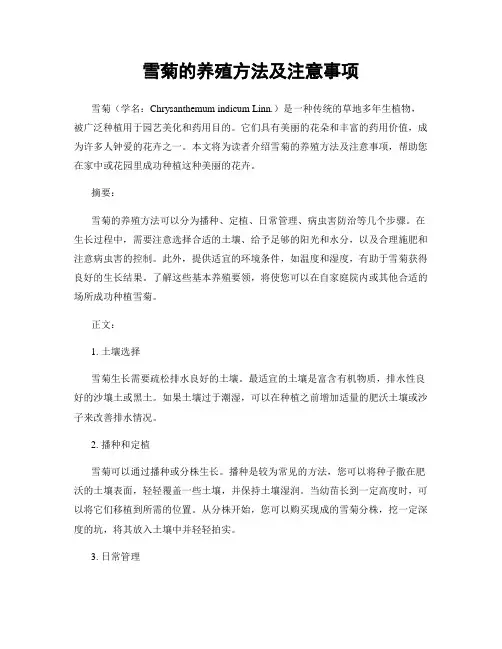 雪菊的养殖方法及注意事项