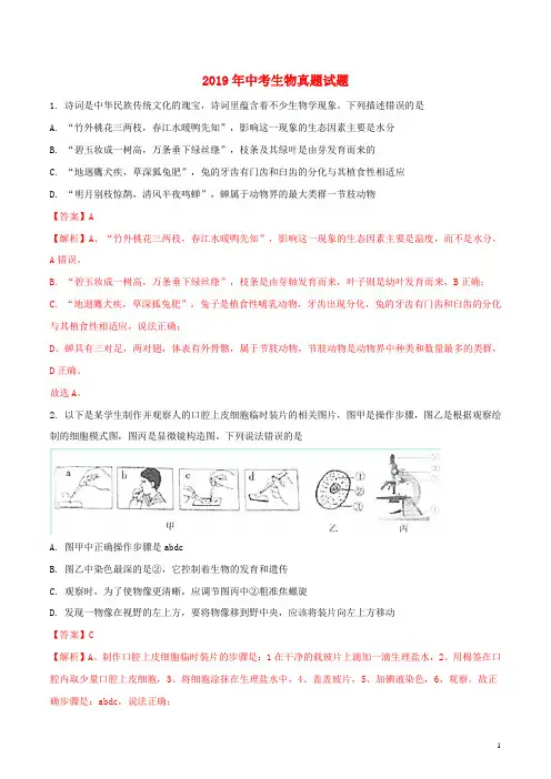 人教版2020年中考生物真题试题(含解析) 新人教版