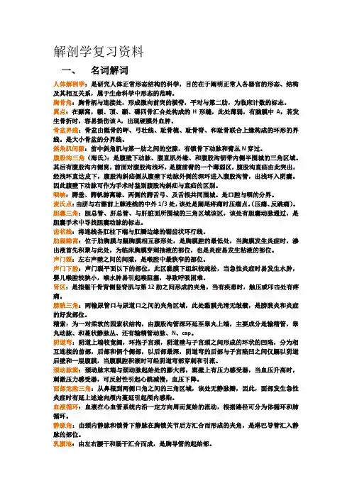 解剖学复习资料