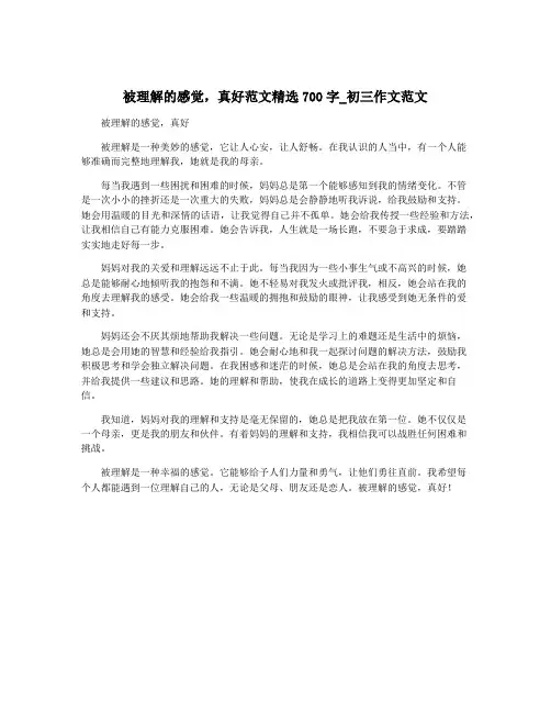 被理解的感觉,真好范文精选700字_初三作文范文
