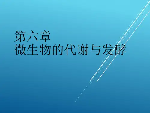 6 微生物的代谢与发酵——【微生物学】