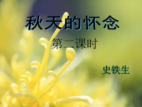 史铁生《秋天的怀念》第二课时