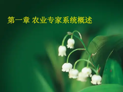 专家系统(全套课件277P)