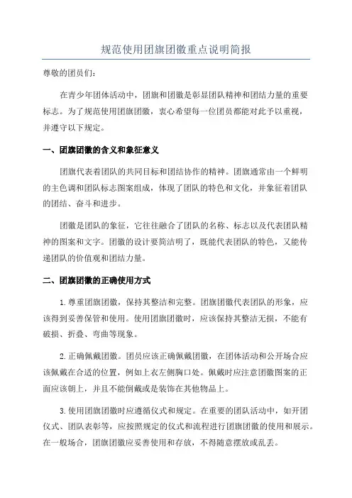 规范使用团旗团徽重点说明简报