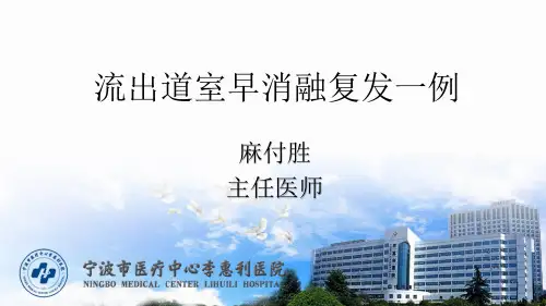 流出道室性早搏射频消融