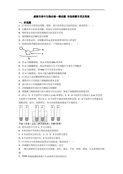 威海市高中生物必修一测试题 非选择题专项及答案