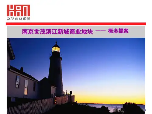 房地产品牌规划及营销策略-南京世茂滨江新城商业地块项目概念提案_97P