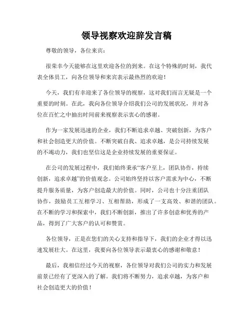  领导视察欢迎辞发言稿