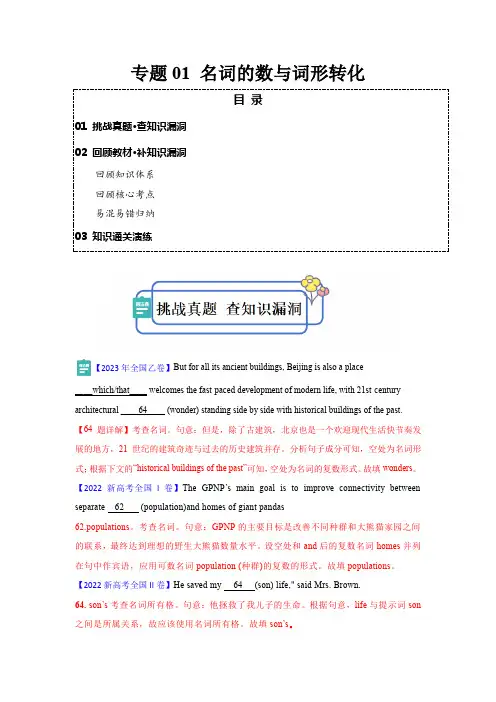 专题01 名词的数与词形转化(解析版)【查漏补缺】(1)