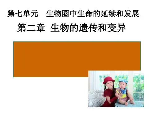 初中生物  人的性别遗传18 人教版精品课件