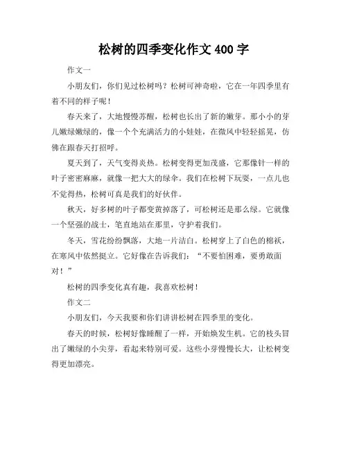 松树的四季变化作文400字