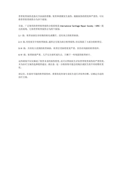 距骨骨软骨损伤分级
