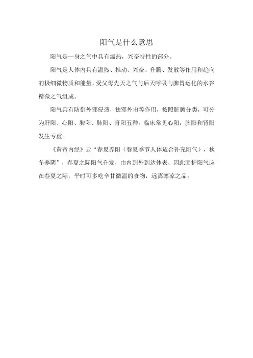 阳气是什么意思