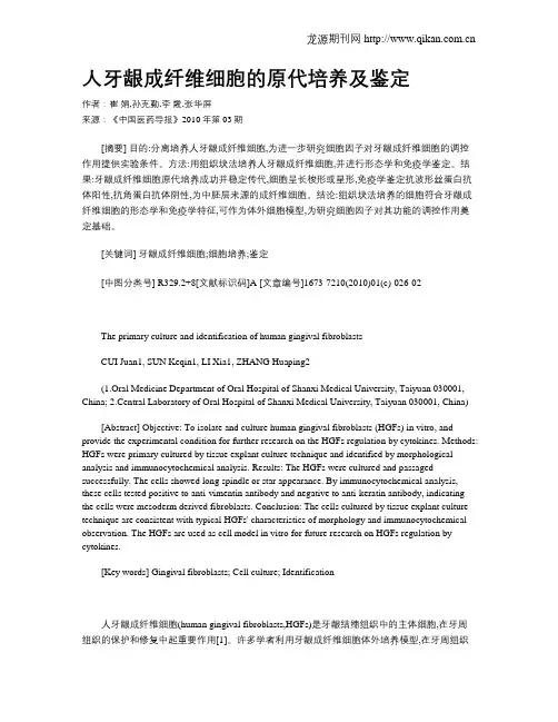 人牙龈成纤维细胞的原代培养及鉴定