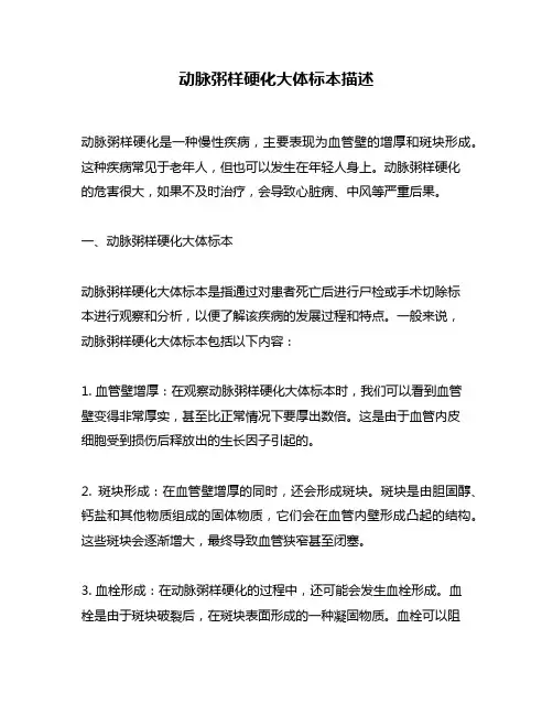动脉粥样硬化大体标本描述