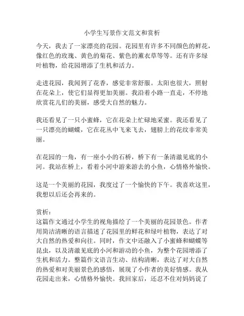 小学生写景作文范文和赏析