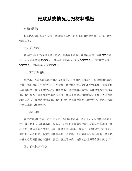 民政系统情况汇报材料模板