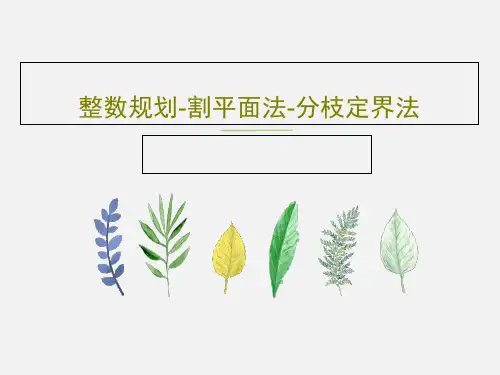 整数规划-割平面法-分枝定界法18页PPT