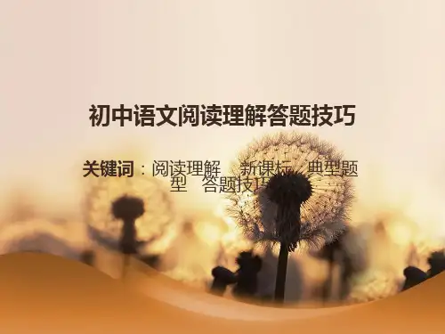 中考语文《阅读理解答题技巧》复习 课件