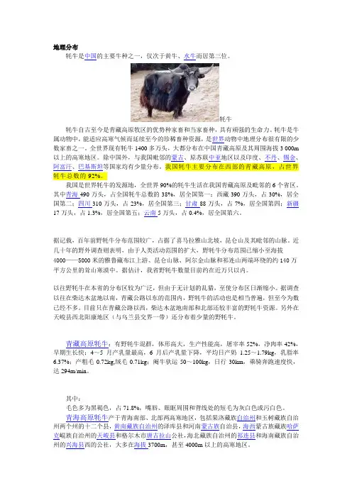 关于牦牛相关