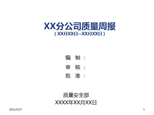 质量周报模版【优质PPT】