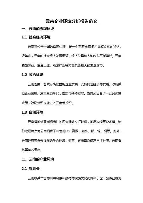 云南企业环境分析报告范文