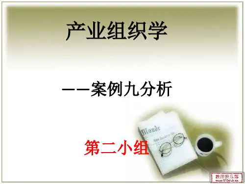 产业案例分析