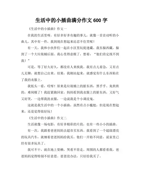 生活中的小插曲满分作文600字