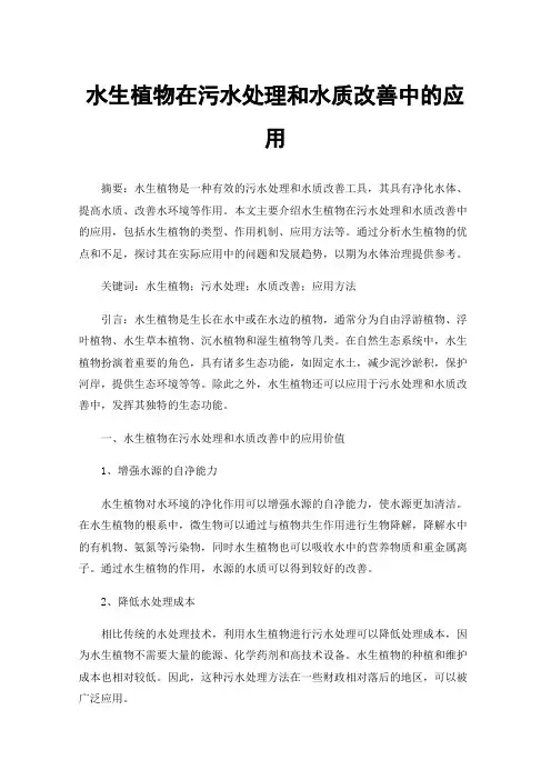 水生植物在污水处理和水质改善中的应用