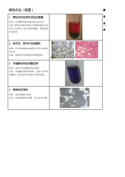 高中生物颜色反应(配图)
