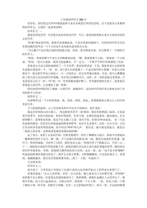 六年级挖笋作文500字