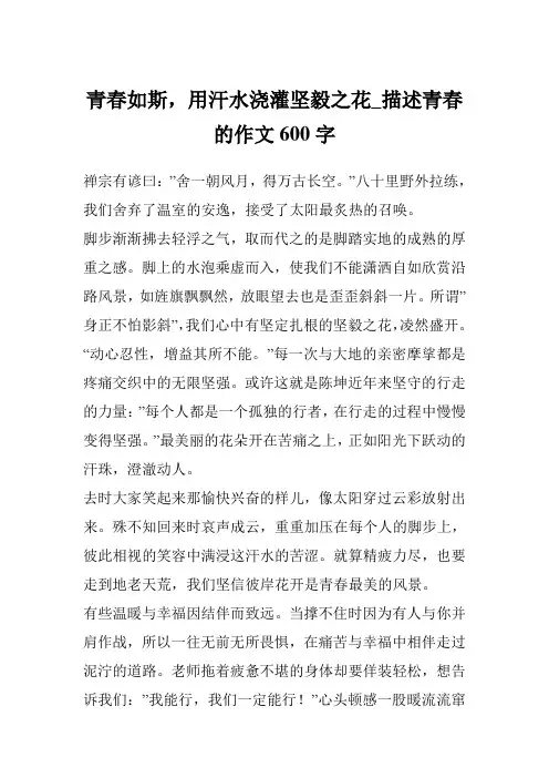 青春如斯,用汗水浇灌坚毅之花_描述青春的作文600字