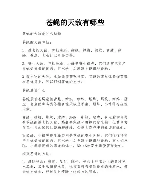 苍蝇的天敌有哪些