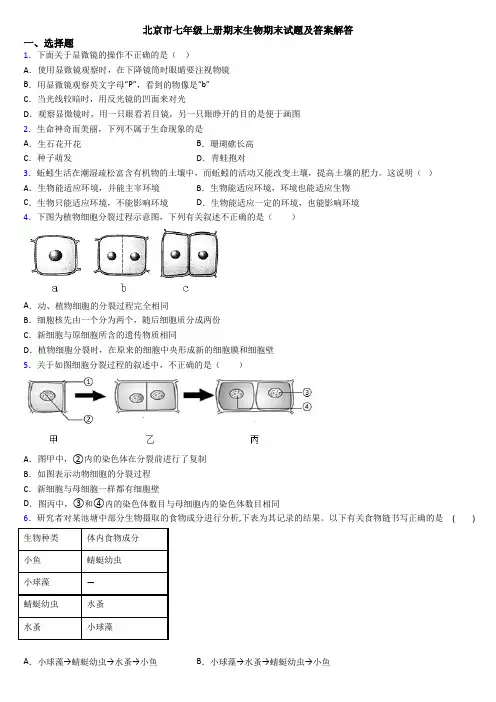 北京市七年级上册期末生物期末试题及答案解答
