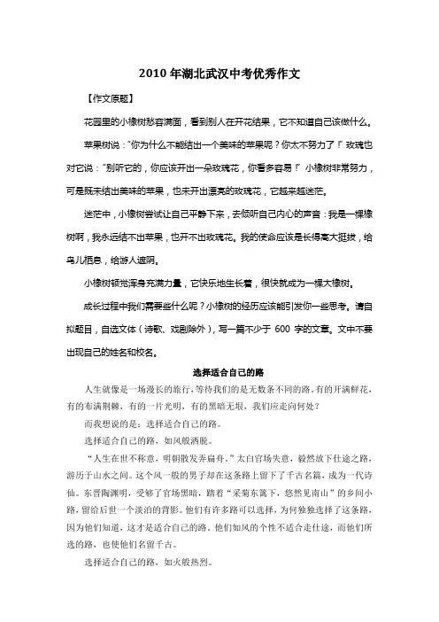 2010年湖北武汉中考满分作文《选择适合自己的路》