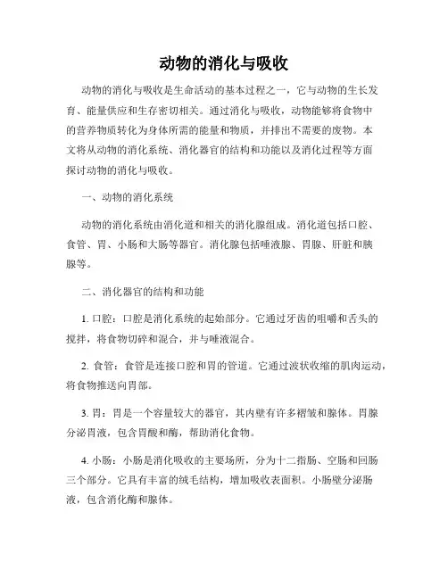 动物的消化与吸收