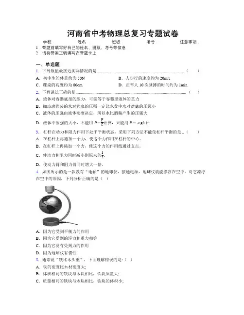 河南省中考物理总复习专题试卷附解析