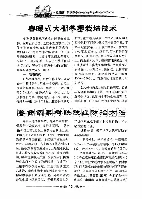 春暖式大棚冬枣栽培技术