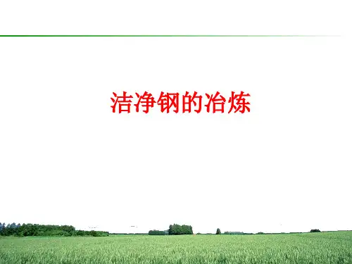 品种钢与洁净钢冶炼