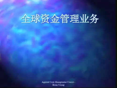 全球资金管理服务(GTS)知识简介
